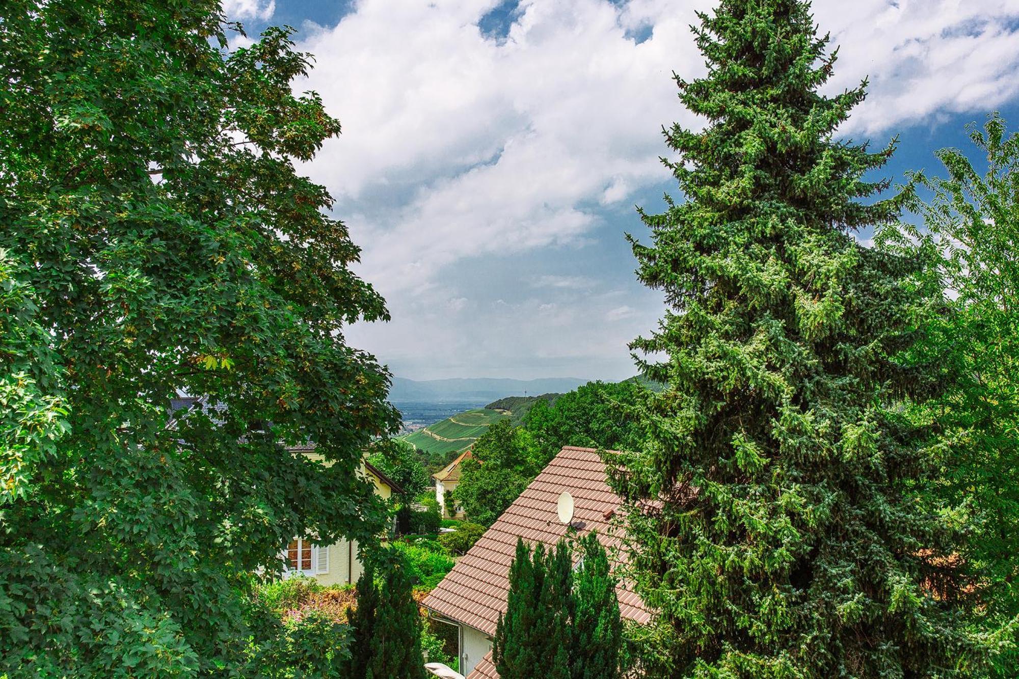 Apartment Am Tannenweg Badenweiler Exteriér fotografie